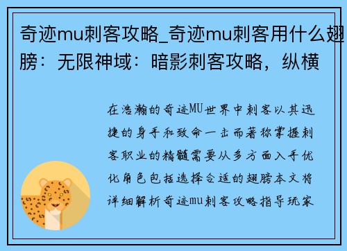 奇迹mu刺客攻略_奇迹mu刺客用什么翅膀：无限神域：暗影刺客攻略，纵横奇迹MU